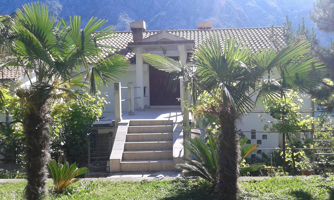 Apartment Sasha Kotor Exterior photo